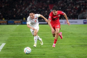 Vietnam Minta Ganti Stadion