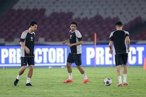 Daftar Pemain Timnas Indonesia