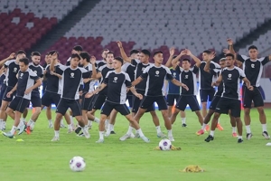 Hasil dan Jadwal Timnas Indonesia