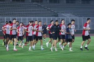 Solusi Skuad Timnas Indonesia