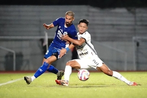 Head to Head dan Performa