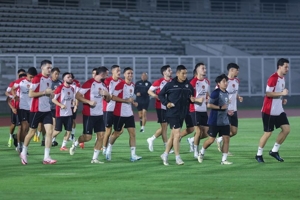 4 Pemain Ini Sudah Diumumkan Klub Gabung Timnas Indonesia, tapi Tidak Masuk Daftar 33 Nama untuk Piala AFF 2024