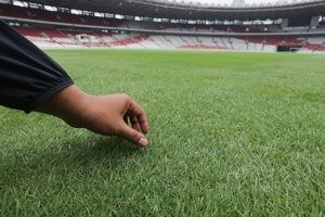 Kenapa Stadion Gelora Bung Karno Tidak Masuk?