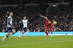 Head to Head Tottenham vs Liverpool