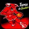 Toros de Chontales