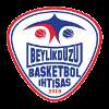 Beylikduzu Basket