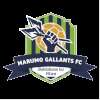 Marumo Gallants Reserves