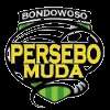 Berser Bobentowoso