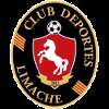 Deportes Limache