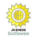 JOMO Sunflowers (W)