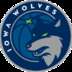 Iowa Wolves