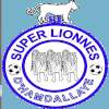 Super Lionnes (W)