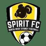 Spirit FC