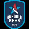 Anadolu Efes Sports Club