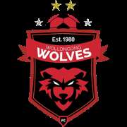 Wollongong Wolves