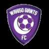 Wakiso Giants FC