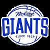 Nelson Giants