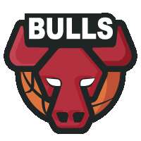 Chicago Bulls