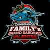 Zamboanga Master Sardines