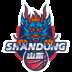 Shandong Hi-Speed