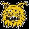 Ilves U20