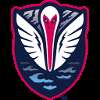 Tormenta FC