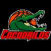 Cocodrilos