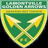 Golden Arrows Reserves