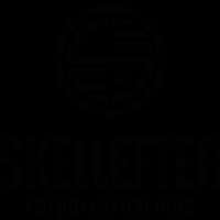 Skelleftea FF