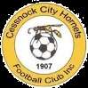 Cessnock City Hornets
