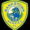 Canterbury Bankstown FC