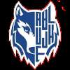 Basket Joacaba