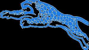 AAB Jaguars