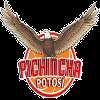 Pichincha Potosi