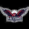 Newcastle Falcons
