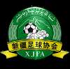 Xinjiang U20