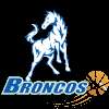 Hume City Broncos Women