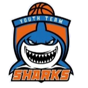 Shanghai Youth United Team