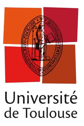 University of Toulouse Women